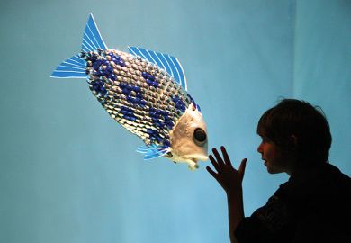 Child looks at fish