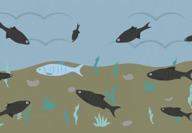 A fish is stared at by all the others, symbolising overseas academics