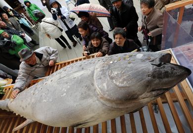 People place coins on bluefin tuna at Nishinomiya Shrine, Japan