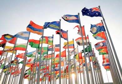 International flags flying