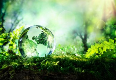 Glass globe lying on forest floor Glass globe lying on forest floor
