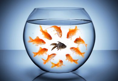 Goldfish staring at black fish in bowl (racism) Goldfish staring at black fish in bowl (racism)