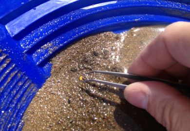 A gold nugget in a pan of grit, symbolising scarcity value