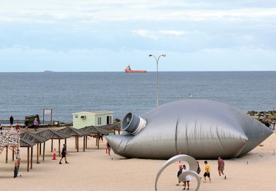 Giant goonbag on beach