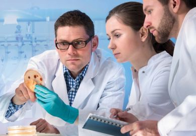 Group of scientists working in laboratory