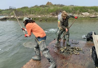 Students on Gull Island, off the Massachusetts coast