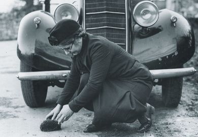 Woman saving hedgehog