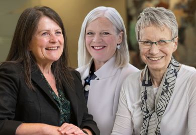 Cranfield University’s Karen Holford, the University of Gloucestershire’s Clare Marchant, and the University of Plymouth’s Judith Petts