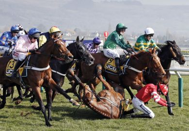 Horse and jockey fall during race Horse and jockey fall during race
