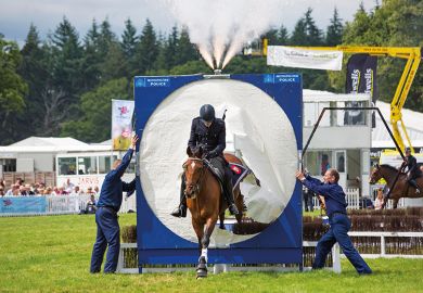 horse jumping horse jumping