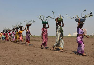 Women carrying mangrove saplings for planting in barren land in Charkop village, Kandivali in Mumbai. To illustrate UK universities looking to set up branch campuses in India.