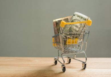 Indian banknotes in a small shopping trolley