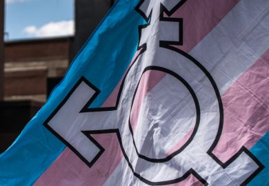 trans flag