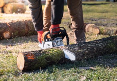 Man is sawing a tree