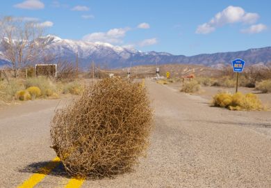 Tumbleweed blows across a desert highway Tumbleweed blows across a desert highway