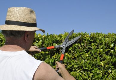 Man trimming a hedge to symbolise cost-cutting in the college system