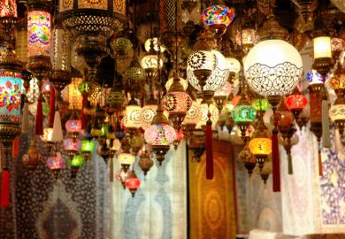 Best universities in the Middle East and North Africa