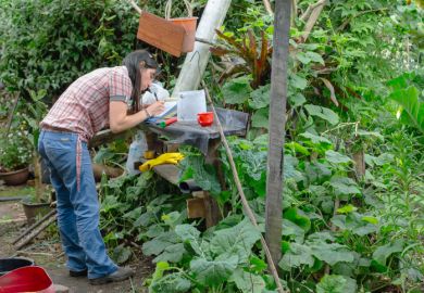 Agronomist writing a report after a field visit Agronomist writing a report after a field visit