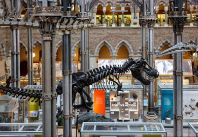 Dinosaur skeleton on display in the magnificent building of Oxford University Museum of Natural History Dinosaur skeleton on display in the magnificent building of Oxford University Museum of Natural History