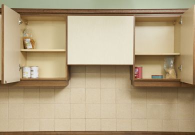 Open kitchen cupboards with very little food inside