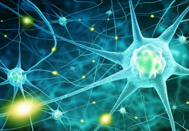 Pursuing a PhD in neuroscience