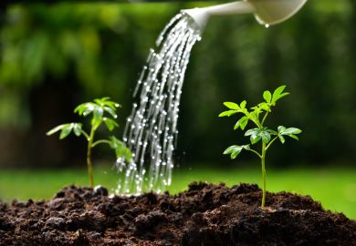 Water plants