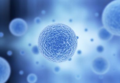 Cells under a microscope