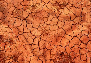 Patch of parched earth