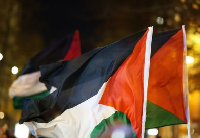 Palestinian flags fly Palestinian flags fly