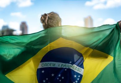 Brazilian flagbearer