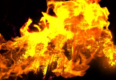 bushfire forest fire