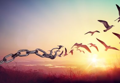 freedom break chains birds liberty