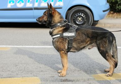 police dog watchdog polizia