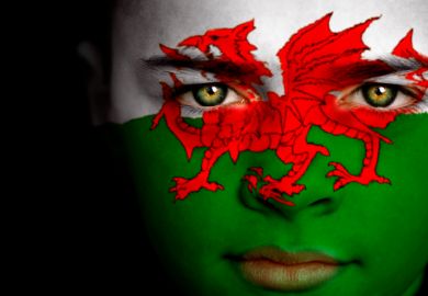 Boy with Welsh flag
