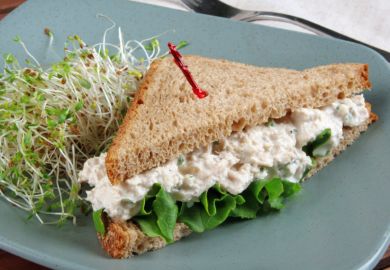 Tuna sandwich
