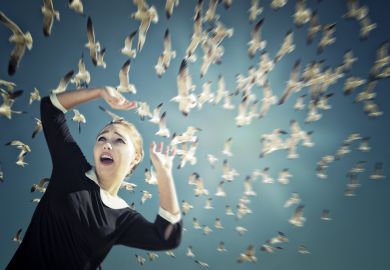 Birds attack university campus seagull problem Hitchcock