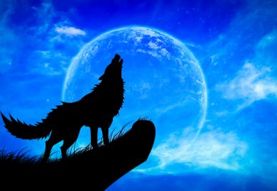 Wold howling at moon