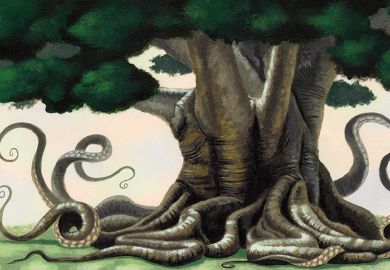Octopus tree