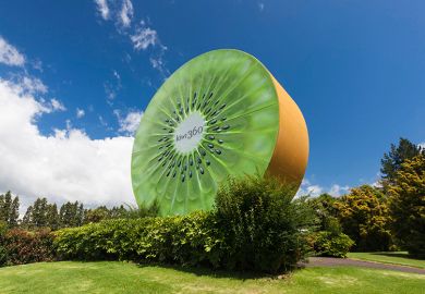 New Zealand, North Island, Te Puke, big Kiwi fruit