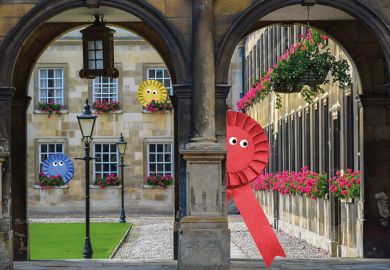 Labour, Conservative and Liberal Democrat rosettes