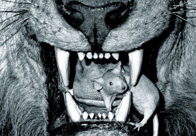 Mouse in a lion’s mouth