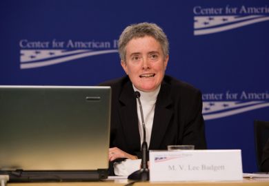 M. V. Lee Badgett, University of Massachusetts Amherst (UMass Amherst)