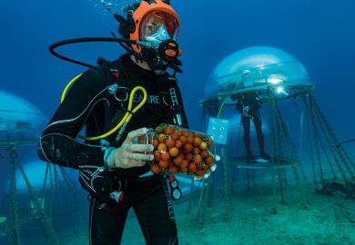Underwater food production