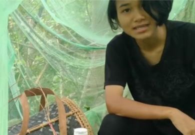 A Malaysian student uses mosquito net to protect herself while in tree to access signal for virtual lessons Malaysian student in tree to access signal for virtual lessons