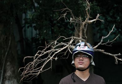 Man wears helmet with branches attached