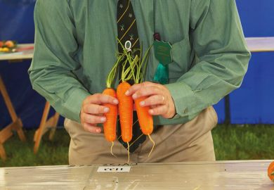 Man grading/judging carrots, Muker Agricultural Show, England