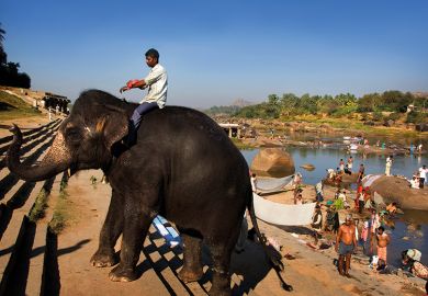 Man riding an elephant