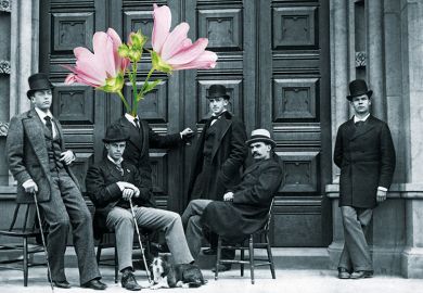 Man with a flower for a head