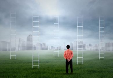 Man confronted by ladders