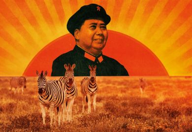 Mao Zedong portrait/Herd of zebra grazing on African plain Mao Zedong portrait/Herd of zebra grazing on African plain
